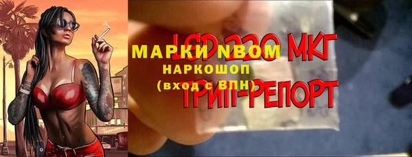крисы Аркадак