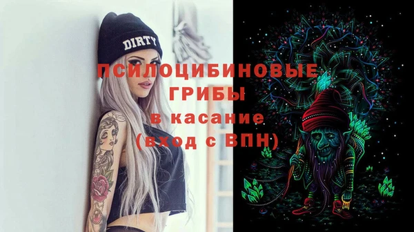 твердый Армянск