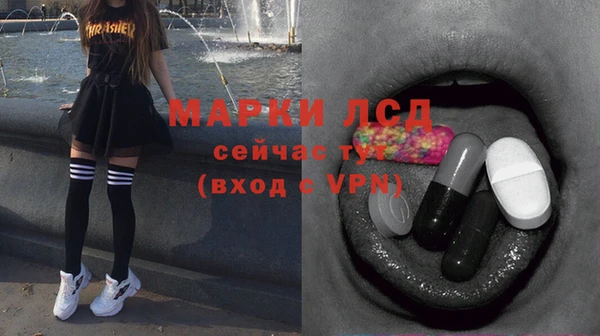крисы Аркадак