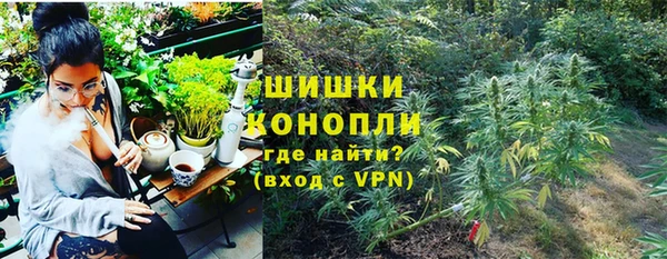 эйфоретик Арсеньев
