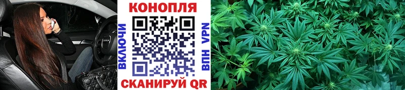 купить наркоту  Лесосибирск  OMG зеркало  Бошки марихуана SATIVA & INDICA 